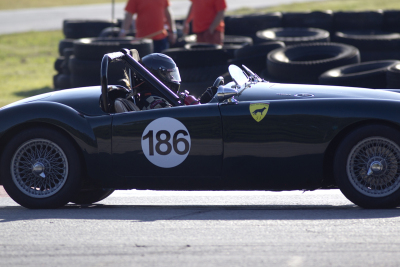 Lou Marchant resplendant in her beautiful MG A