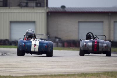 Pair Of Cobras Dancing To The Same Tune 